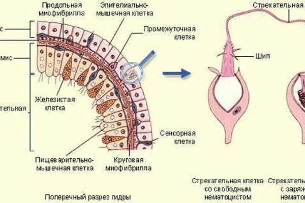 Зайти на кракен без тора