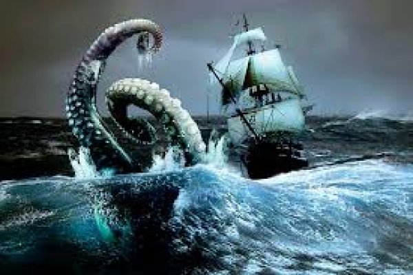 Kraken найдется все