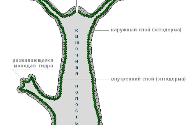 Кракен шоп интернет