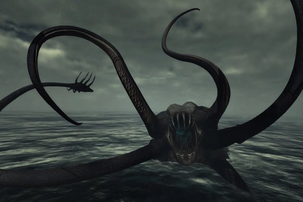 Kraken platform